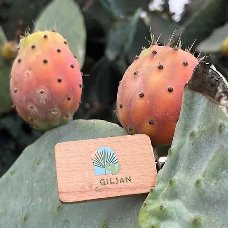 Ta' Giljan Gozo Bed & Breakfast Xagħra