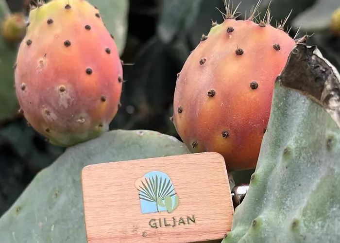 Ta' Giljan Gozo Alojamento de Acomodação e Pequeno-almoço Xagħra